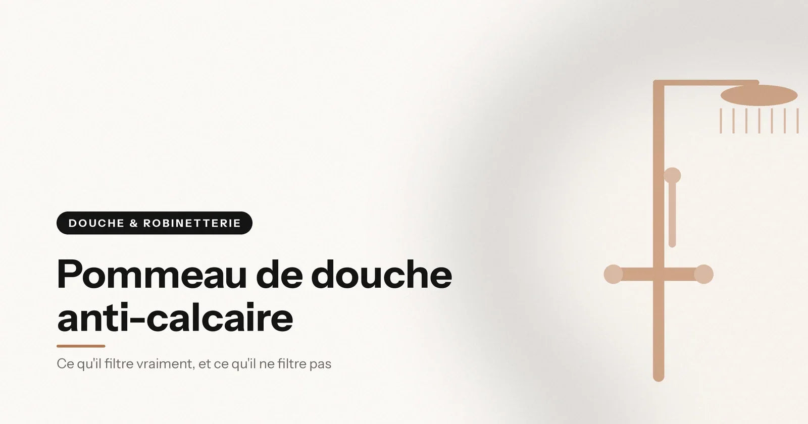 Pommeau de douche filtrant vu de face, illustration Aeraly Image