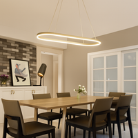 Lustre LED design suspendu arrondi aluminium LUNARE