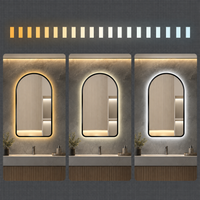 CURVA - Miroir de Salle de Bain Cintré, Cadre Aluminium & LED Tricolore