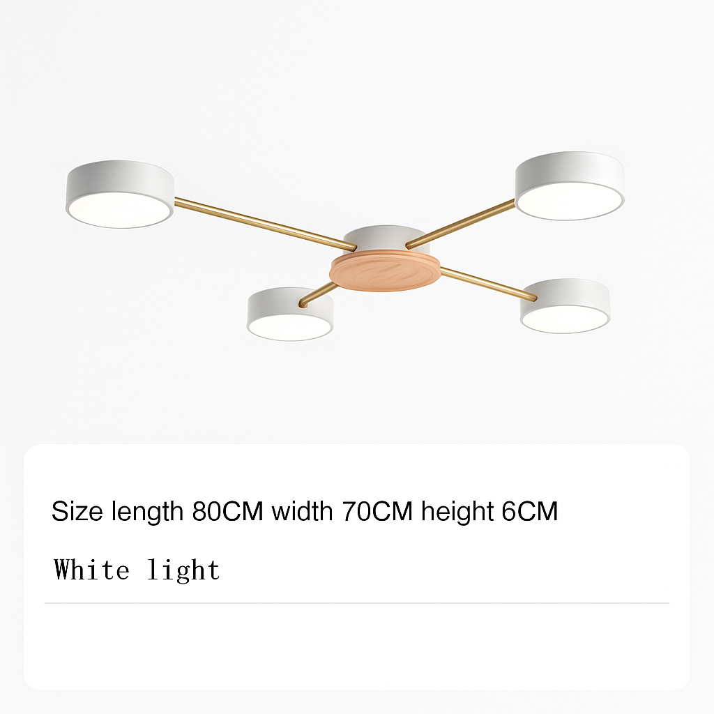 Plafonnier LED design métal et bois lampes rondes GRAPPOLO