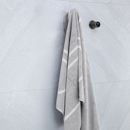 Sèche-Serviettes Chauffant Mural - 1 Barre Acier Inox - 80W - Aeraly